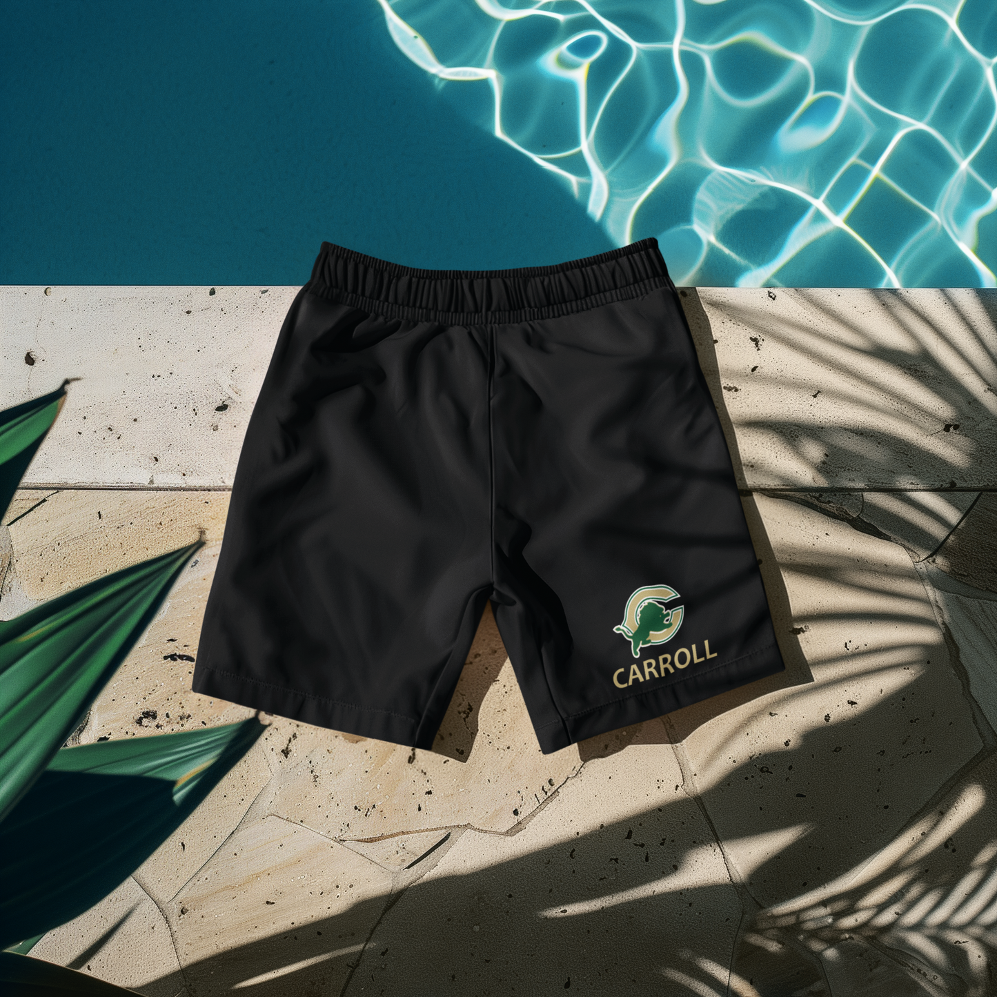 Carroll Gym/Basketball shorts unisex